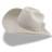 Hat cowboy white Icon